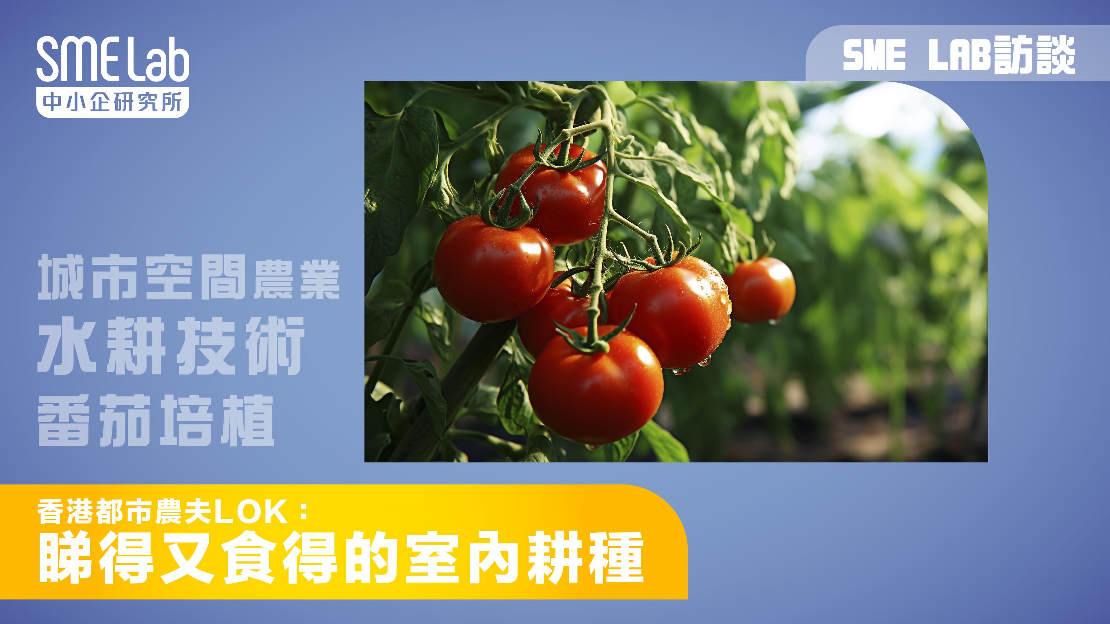 【SME Lab 訪談】香港都市農夫LOK：睇得又食得的室內耕種